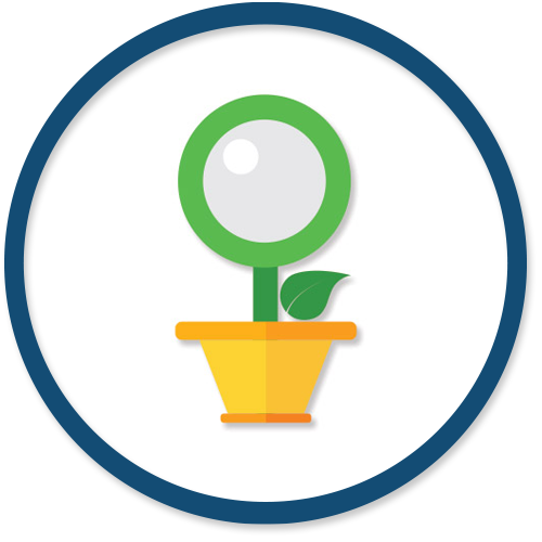 Organic Search Marketing